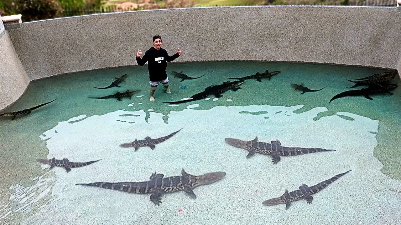 pool of ERP's pool of erp