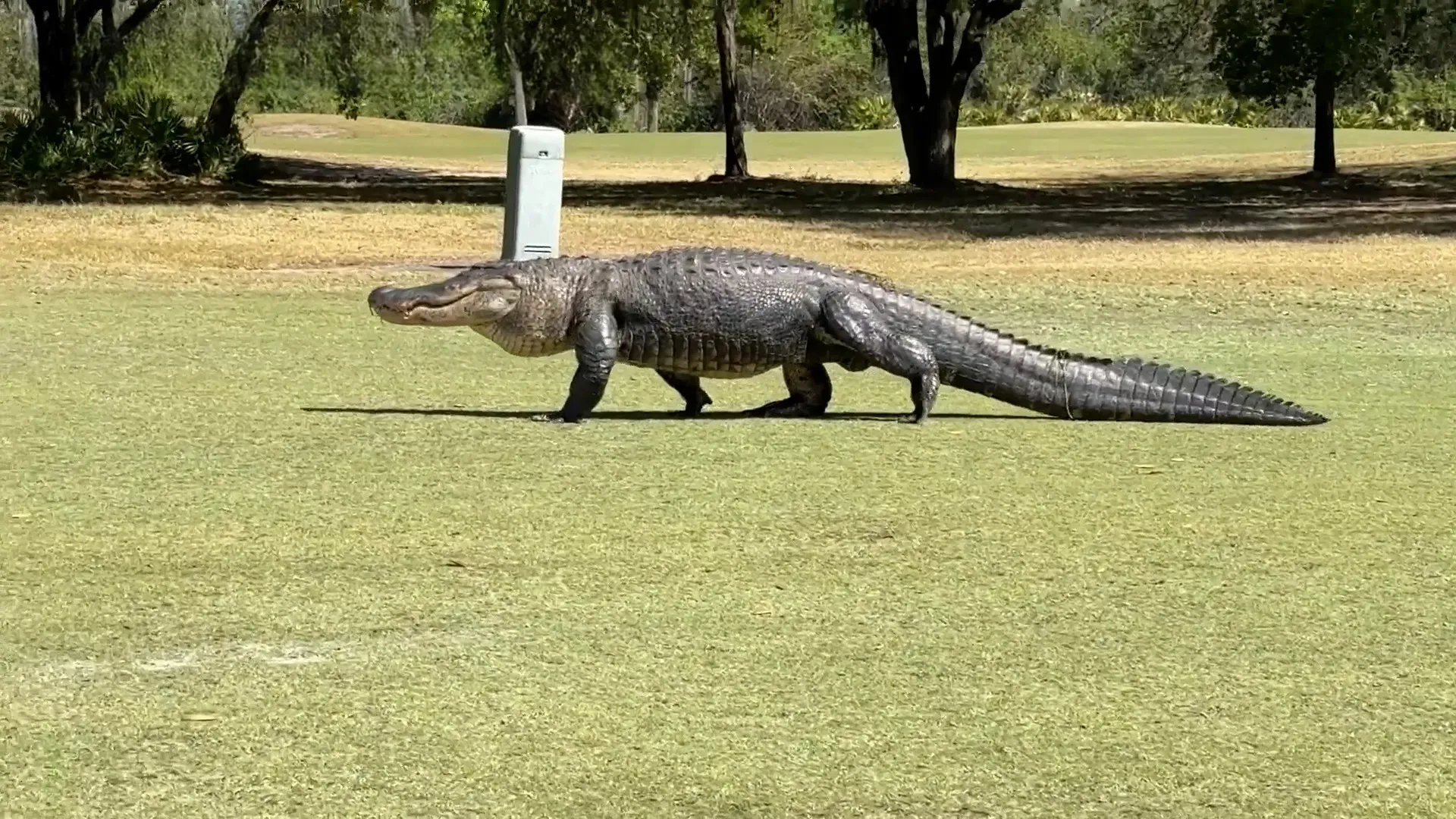 ERPNext not being a part of crowd ERPNext not being a part of crowd